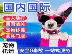 银川空运公司国际宠物托运 【国